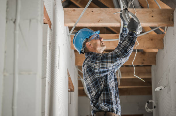 Best Electric Panel Repair  in Goulds, FL